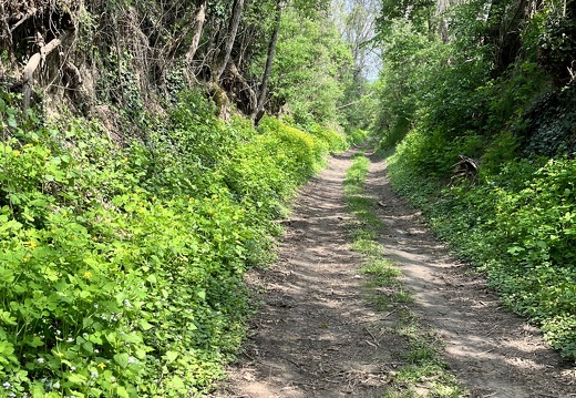 22-05-02 13-11-27 0722